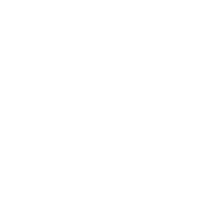 VIRTUSO logo